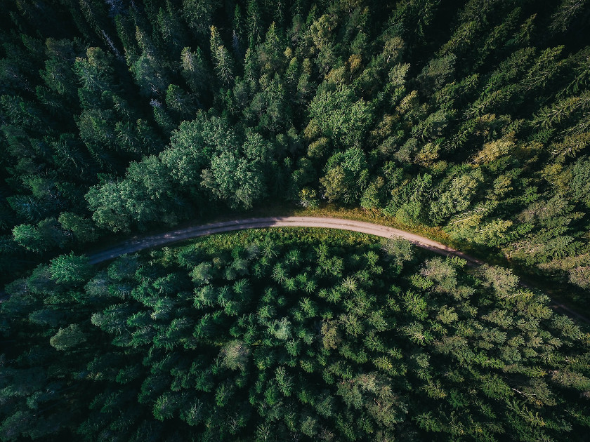 木材利用促進法