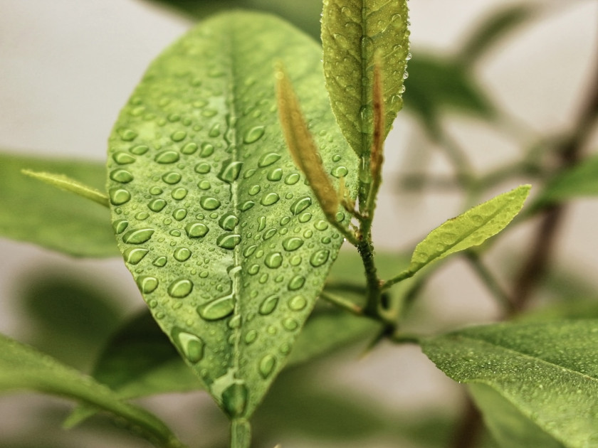 サスティナブル建材とは