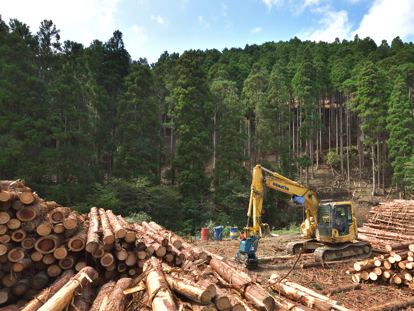 日本の木材自給率はどのくらい？今までの推移