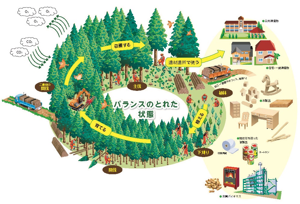 森林の循環