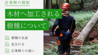 9766896d4bd77179fa65b68a82f181