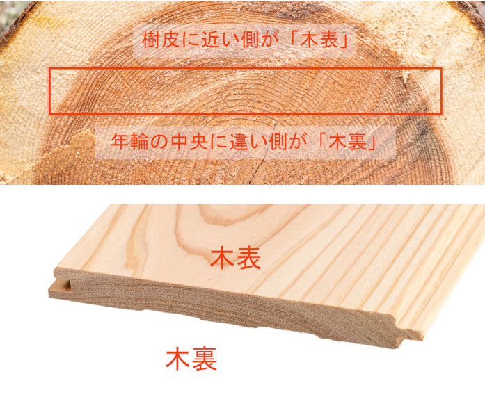 木材の木表と木裏