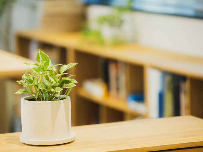 造作家具のデメリット・注意点